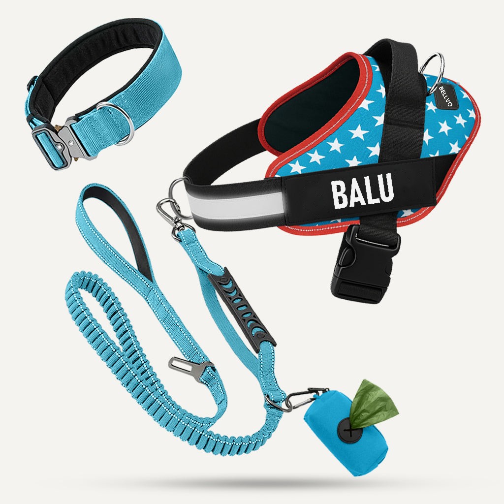 All-in-One-Set – USA
