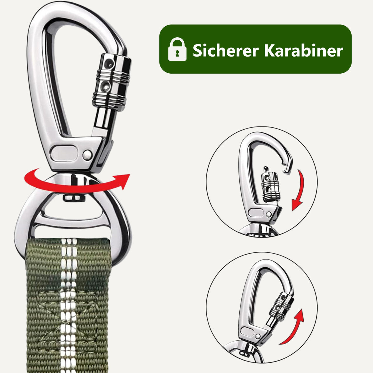 Bungee-Leine – Sicherer Karabiner