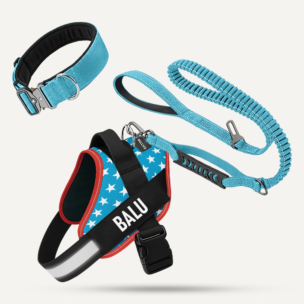 Komplett-Set – USA