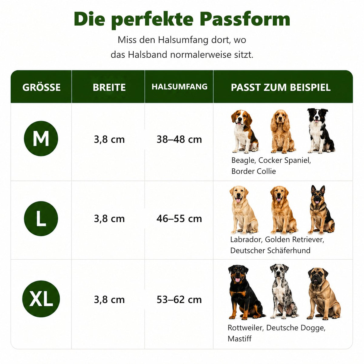 Taktisches Hundehalsband – Größentabelle