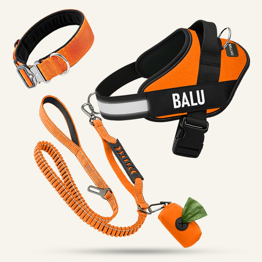 All-in-One-Set – Orange