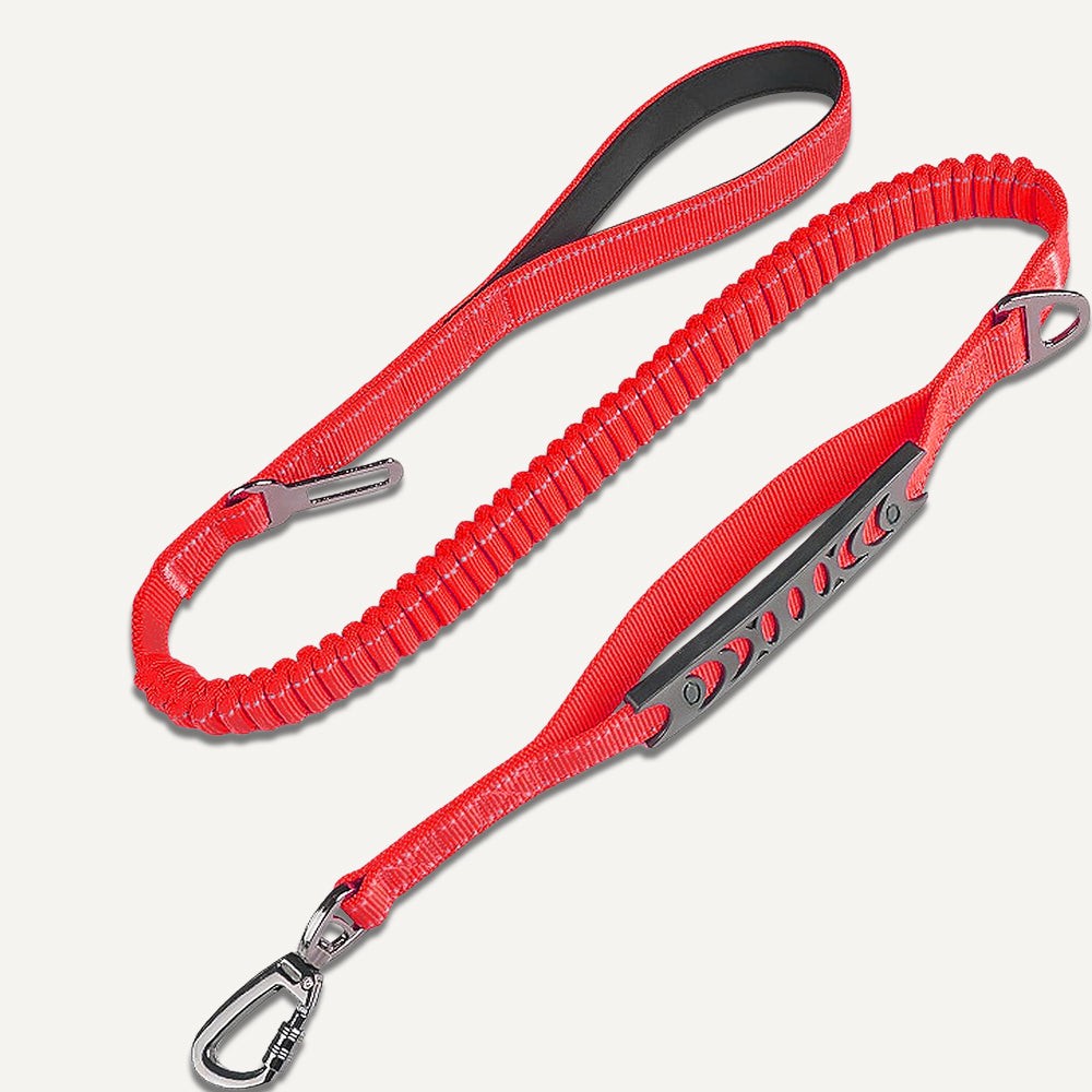 Bungee-Leine – Rot