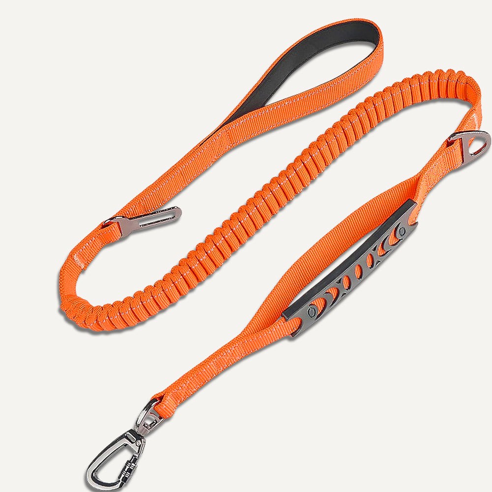 Bungee-Leine – Orange
