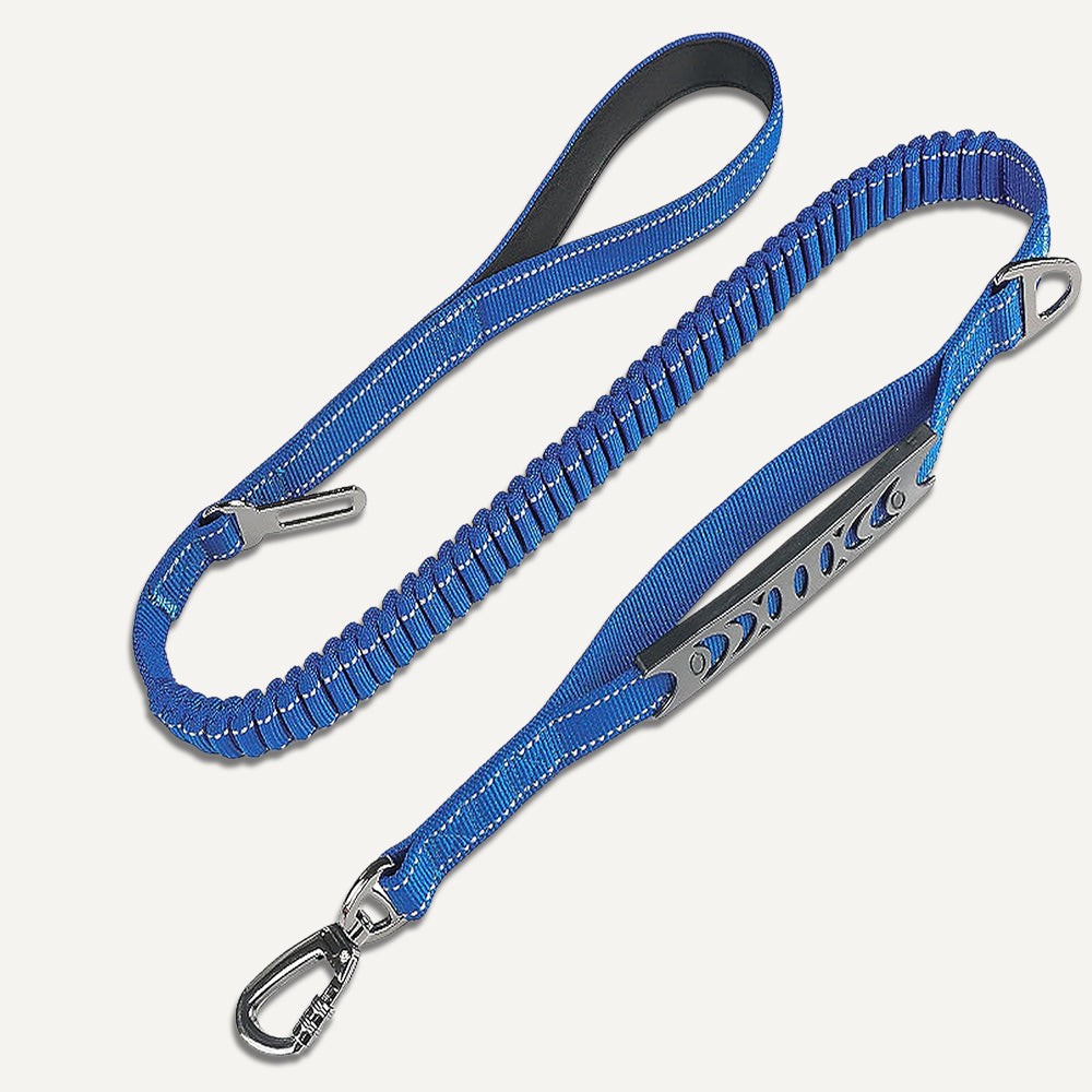 Bungee-Leine – Blau