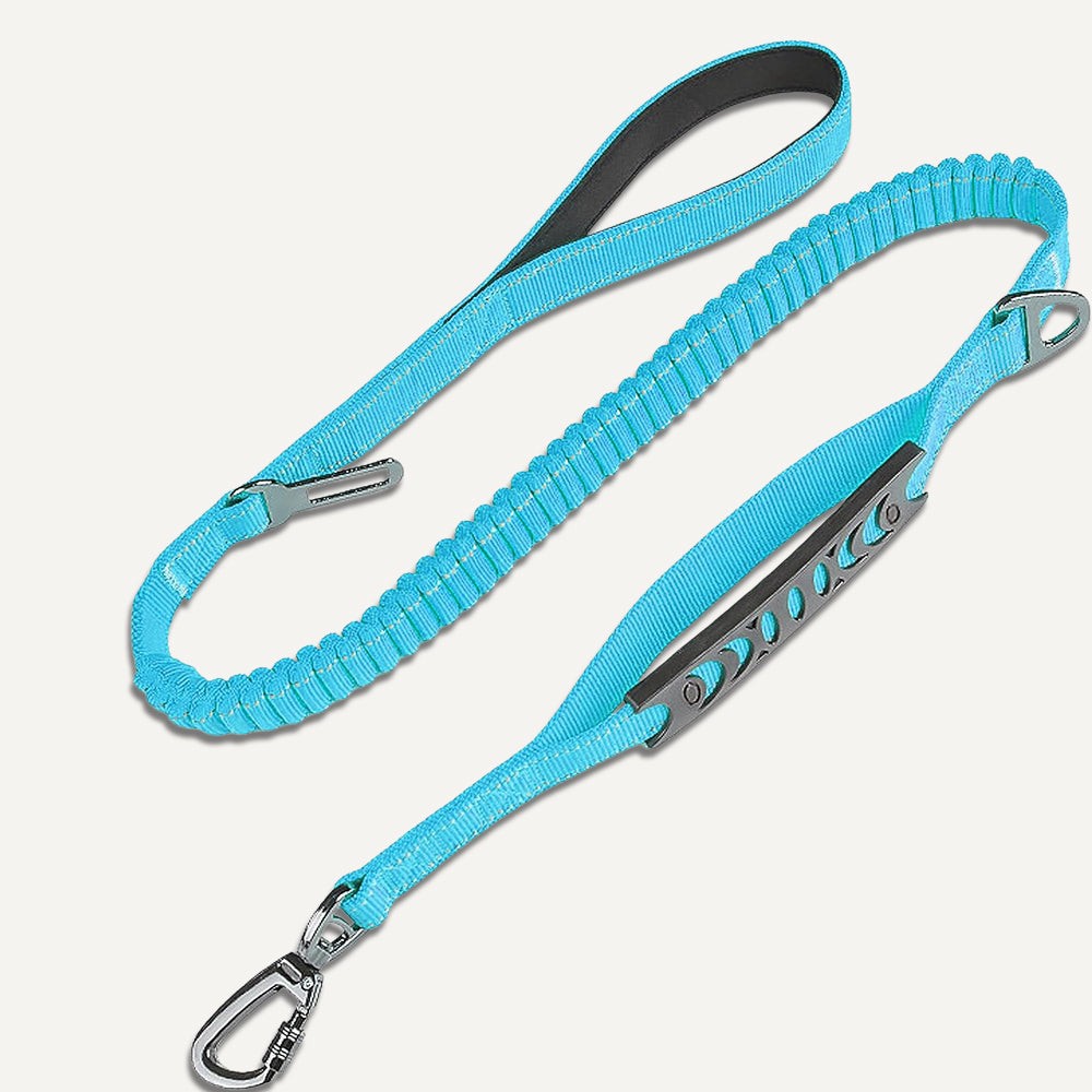 Bungee-Leine – Hellblau