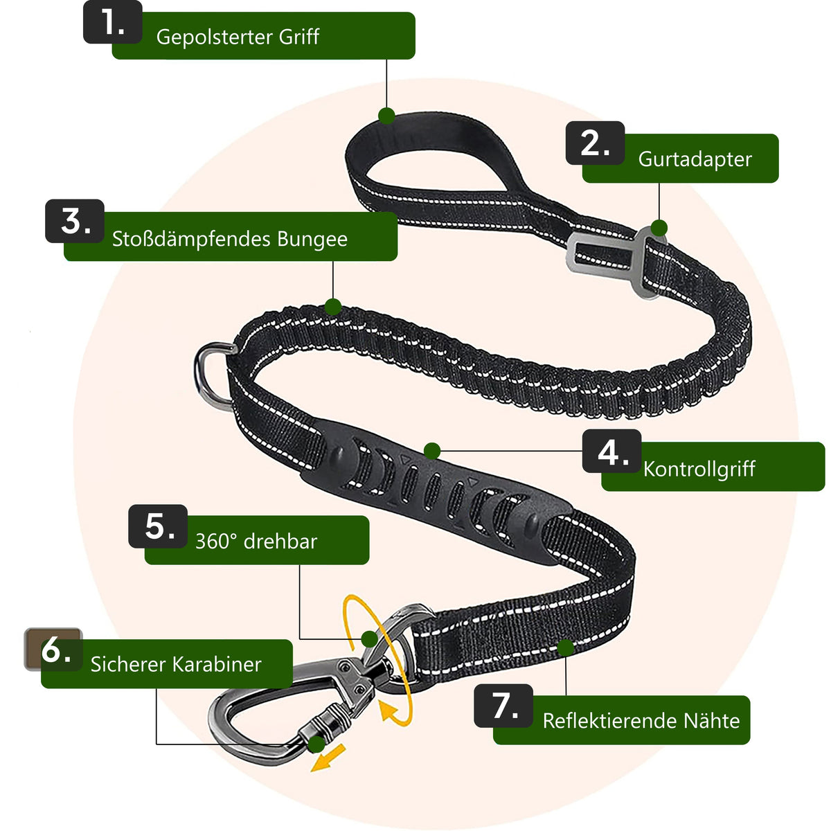 Bungee-Leine – Details