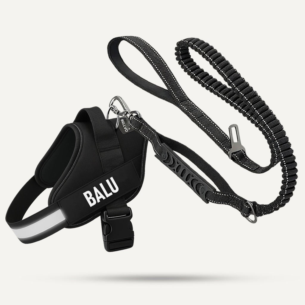 Essentials-Set – Schwarz