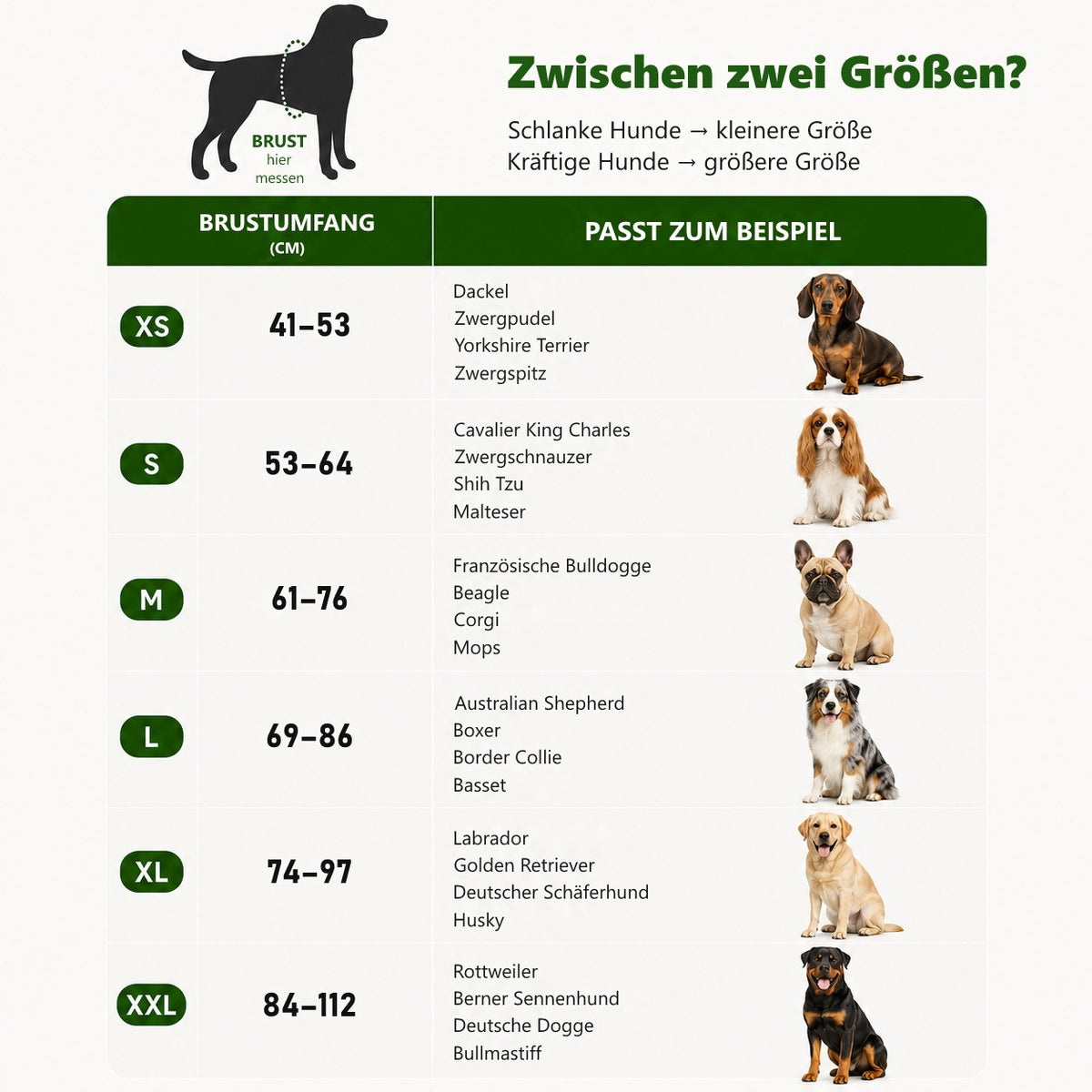 Essentials-Set – Größentabelle