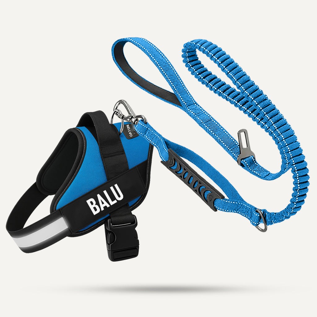 Essentials-Set – Blau