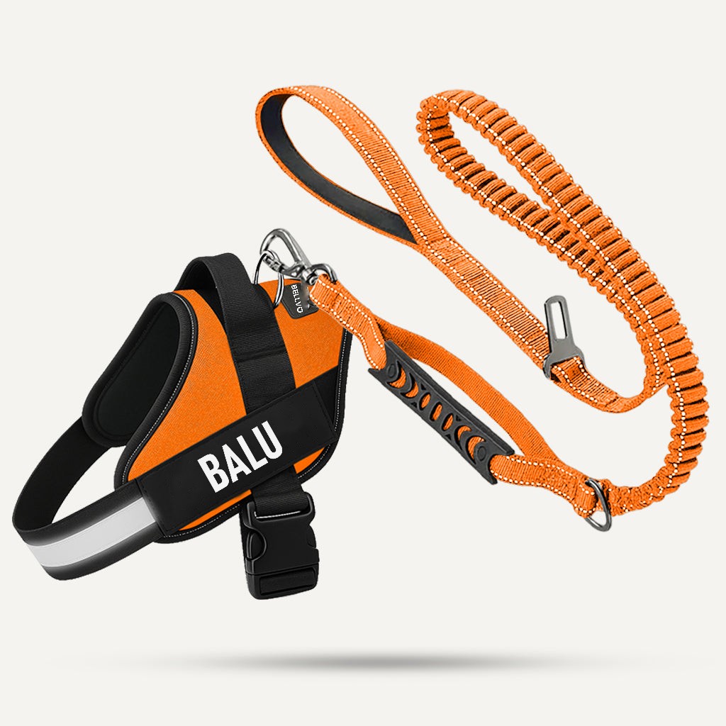 Essentials-Set – Orange