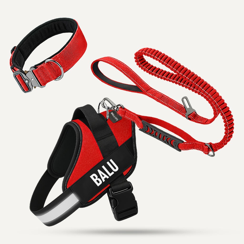 Komplett-Set – Rot