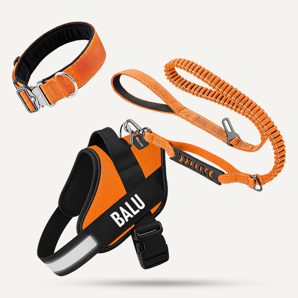 Komplett-Set – Orange