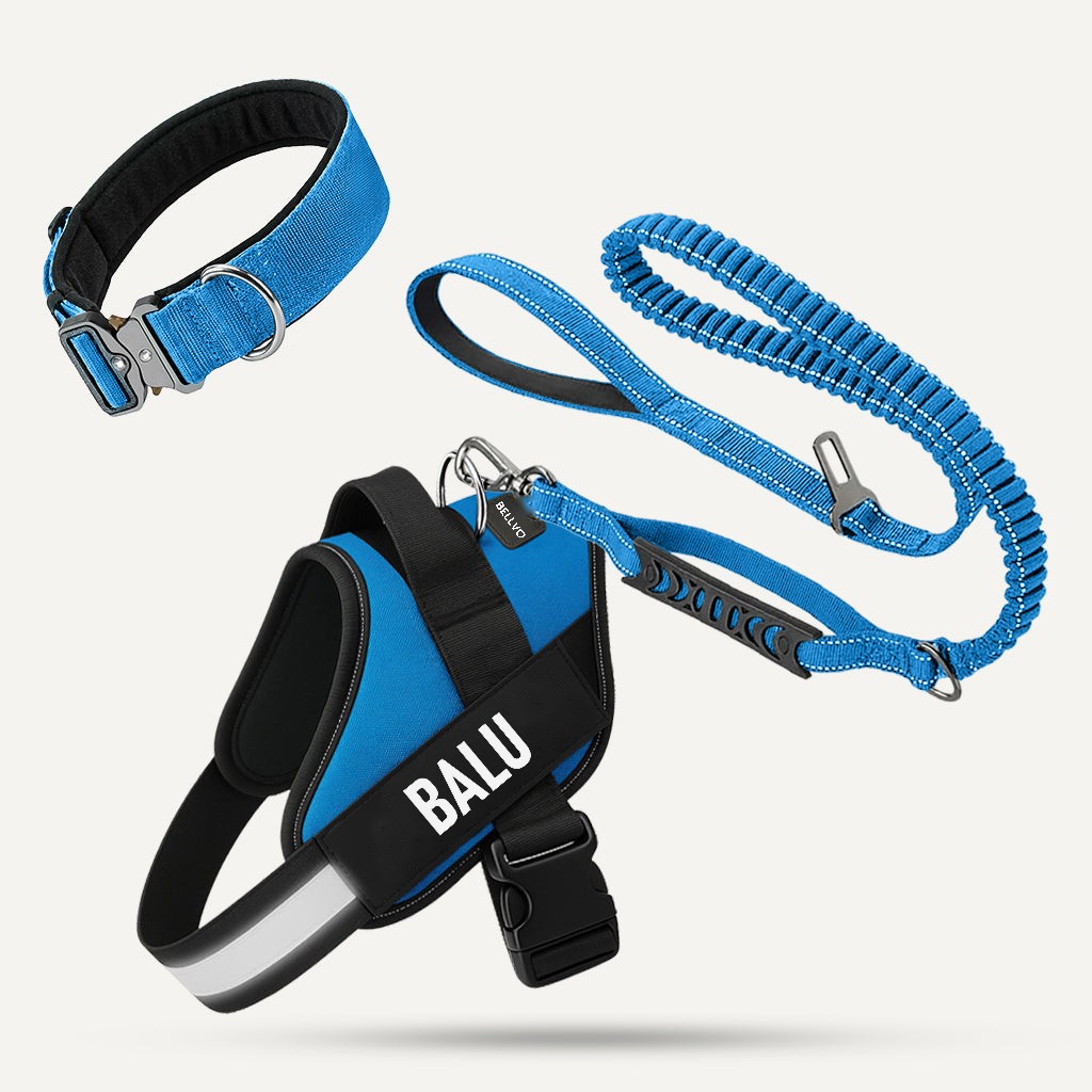 Komplett-Set – Blau