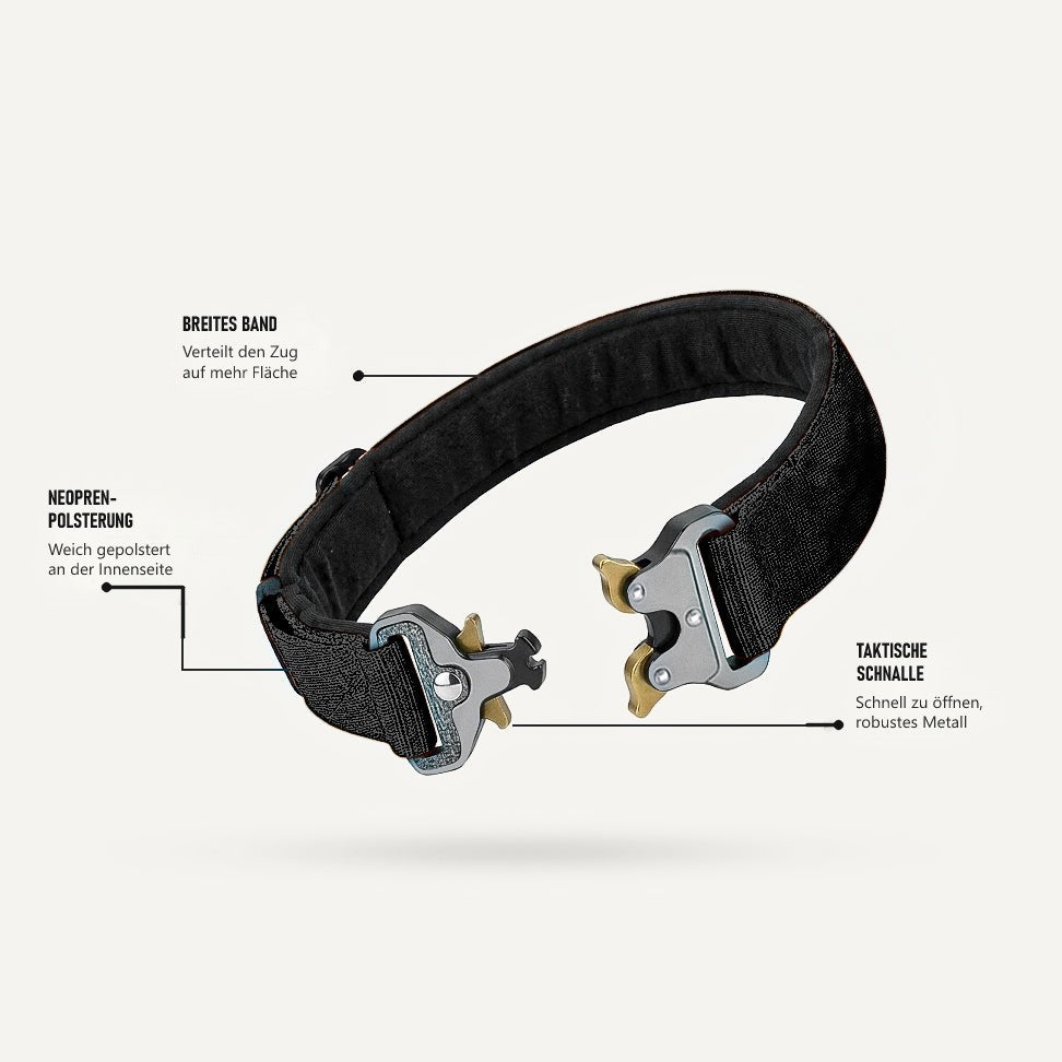 Taktisches Hundehalsband – Details