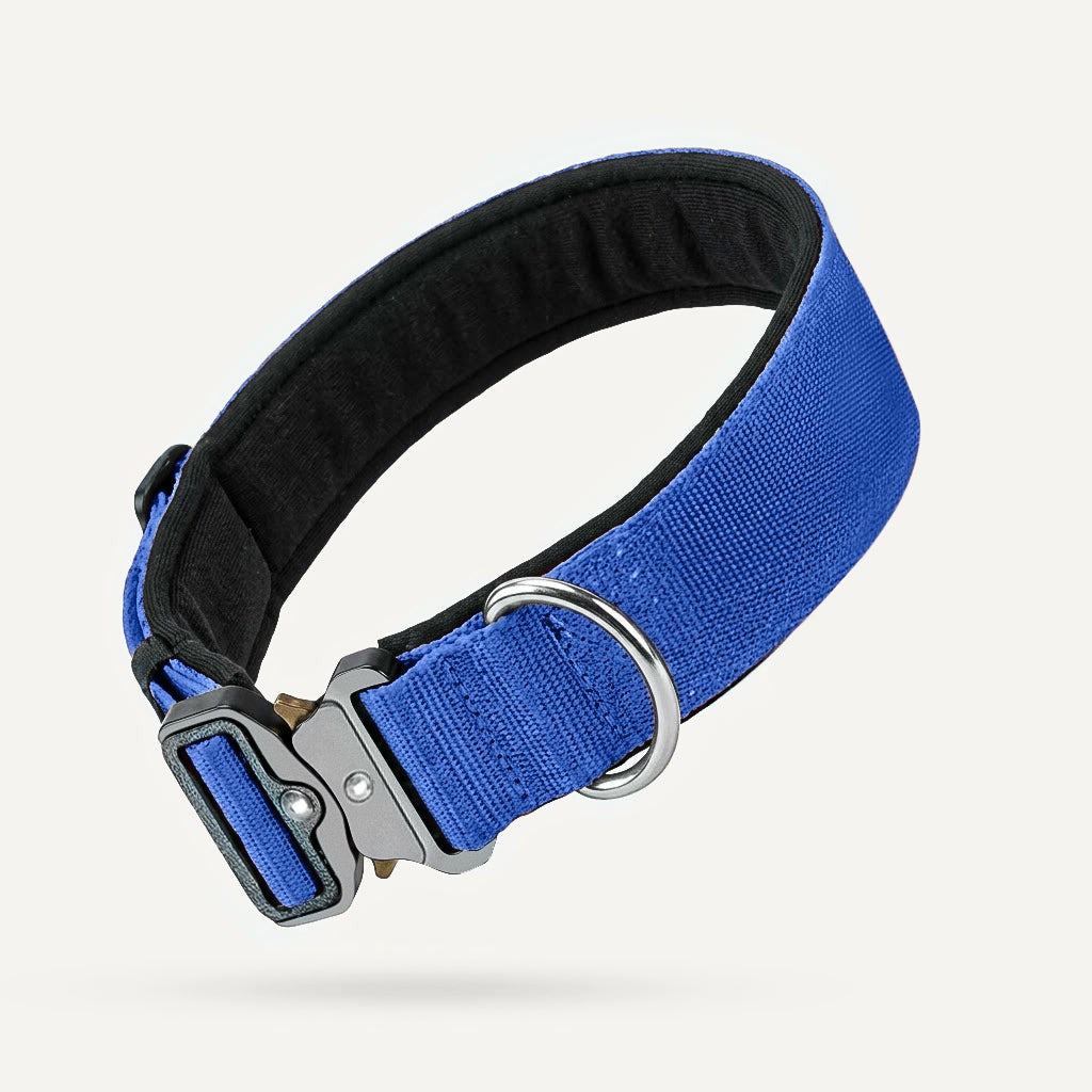 Taktisches Hundehalsband – Blau