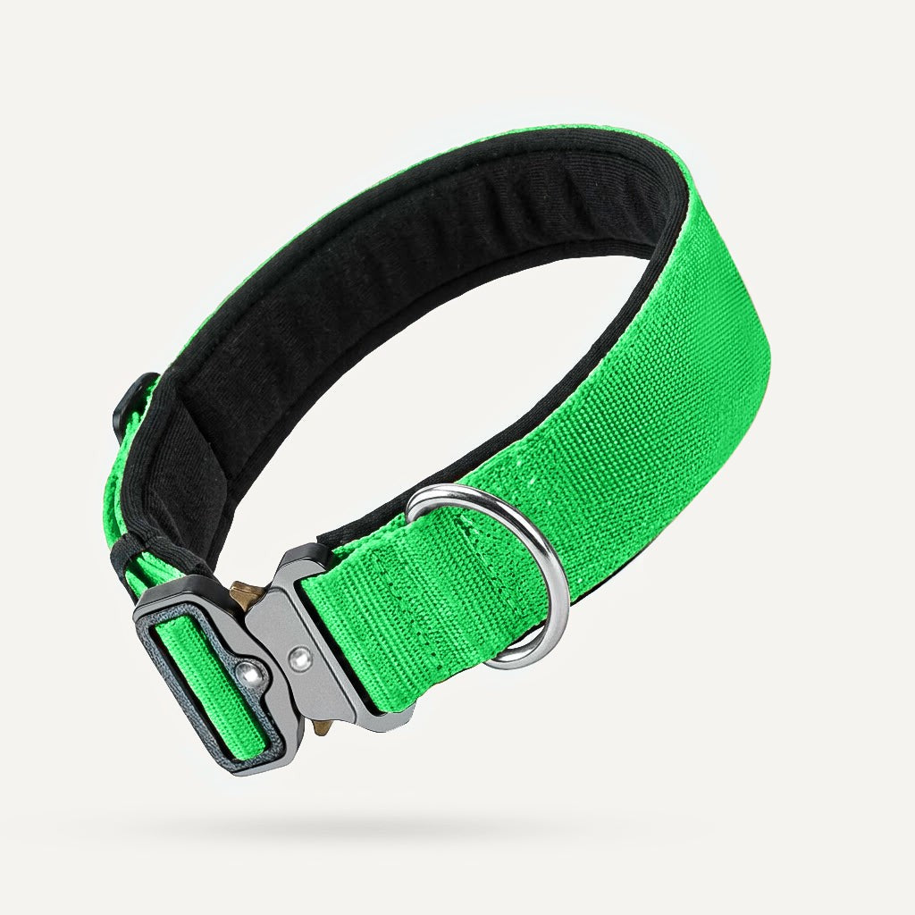 Taktisches Hundehalsband – Grün
