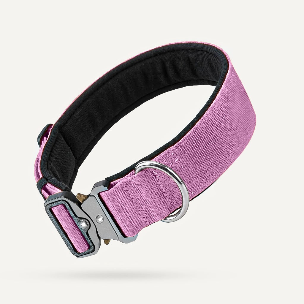 Taktisches Hundehalsband – Lila