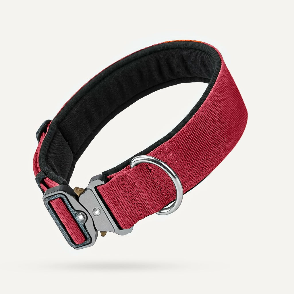 Taktisches Hundehalsband – Rot