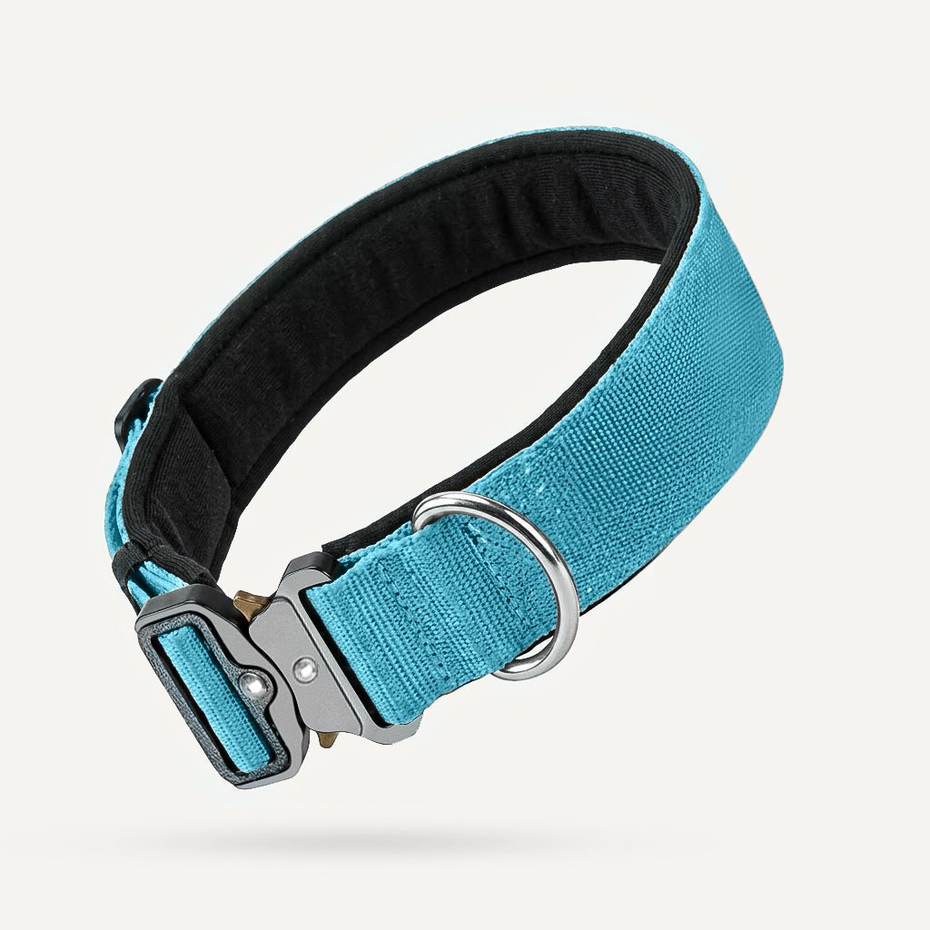 Taktisches Hundehalsband – Hellblau