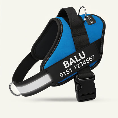 Anti-Zug-Geschirr Blau