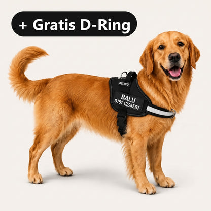 Gratis D-Ring